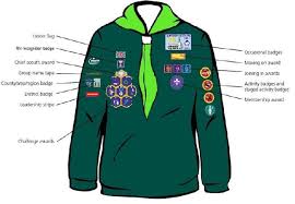 CUB BADGE POSITIONS AND GENERAL INFORMATION